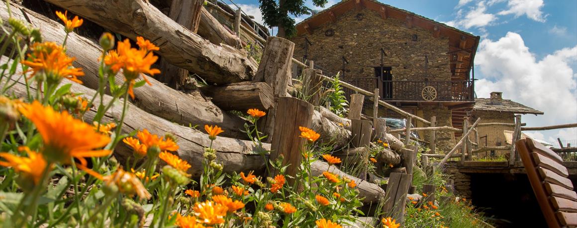 Natura, Escursioni e Sport